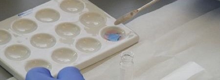 A technician dropping fluid into a tray for a test